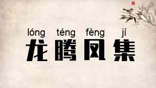龙腾凤集