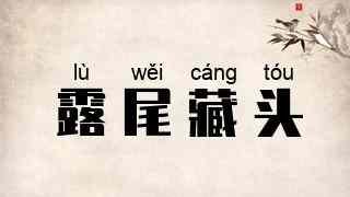 露尾藏头