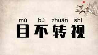 目不转视
