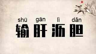 输肝沥胆