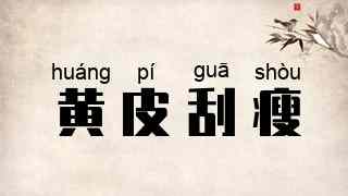黄皮刮瘦