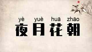 夜月花朝