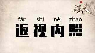 返视内照