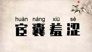 宦囊羞涩