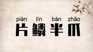 片鳞半爪