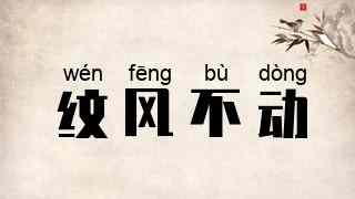 纹风不动