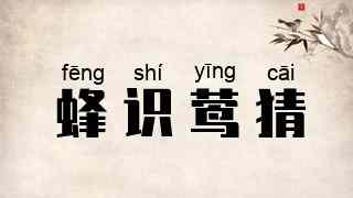 蜂识莺猜
