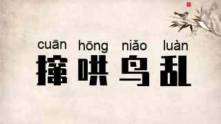 撺哄鸟乱