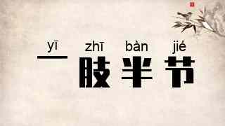 一肢半节