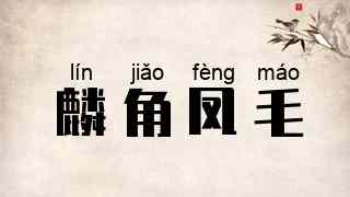 麟角凤毛