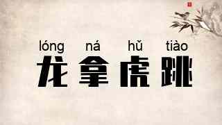 龙拿虎跳