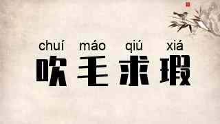 吹毛求瑕