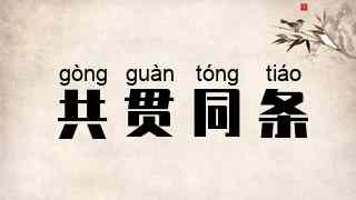 共贯同条
