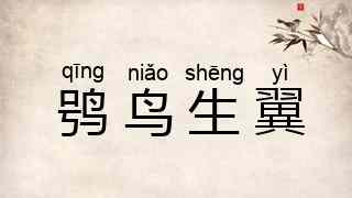 鸮鸟生翼