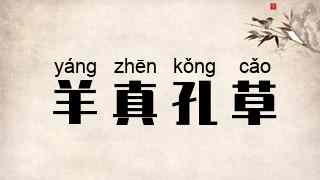 羊真孔草