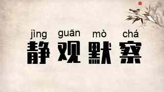 静观默察