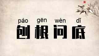 刨根问底