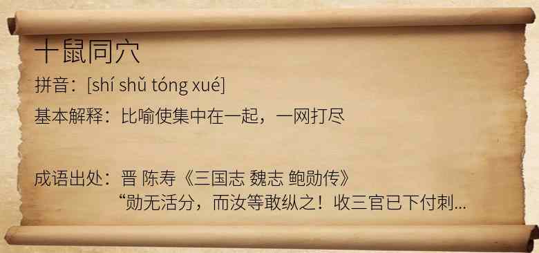 十鼠同穴