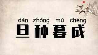 旦种暮成