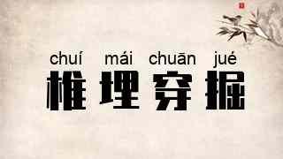 椎埋穿掘