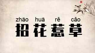 招花惹草
