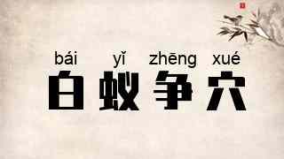 白蚁争穴
