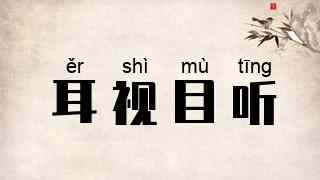 耳视目听