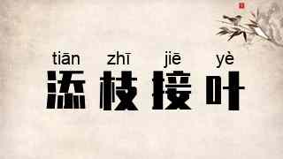 添枝接叶