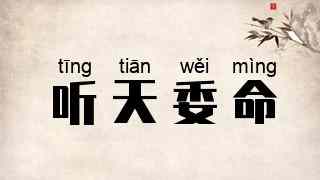 听天委命