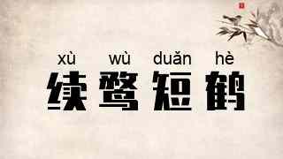 续鹜短鹤