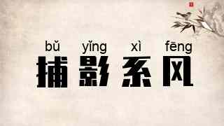 捕影系风