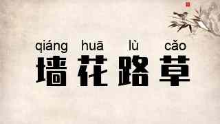 墙花路草