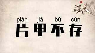 片甲不存