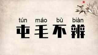 屯毛不辨