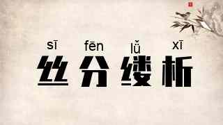丝分缕析