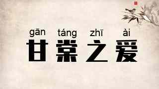 甘棠之爱