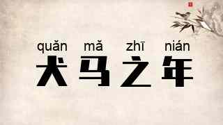 犬马之年
