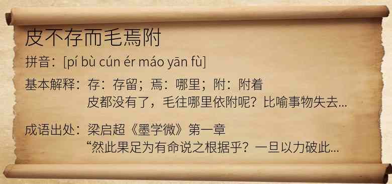 皮不存而毛焉附