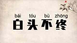 白头不终