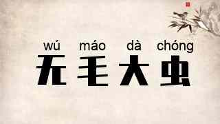 无毛大虫