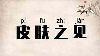 皮肤之见