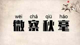 微察秋毫