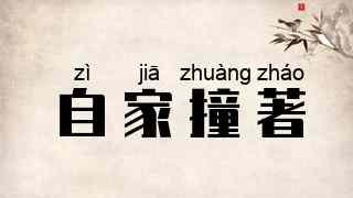 自家撞著