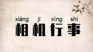 相机行事