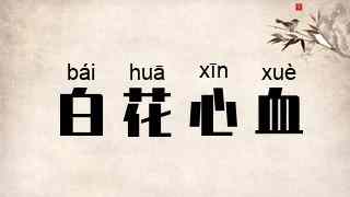 白花心血