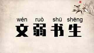 文弱书生