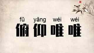 俯仰唯唯