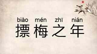 摽梅之年