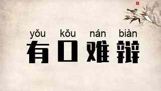 有口难辩
