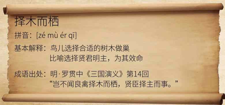 择木而栖